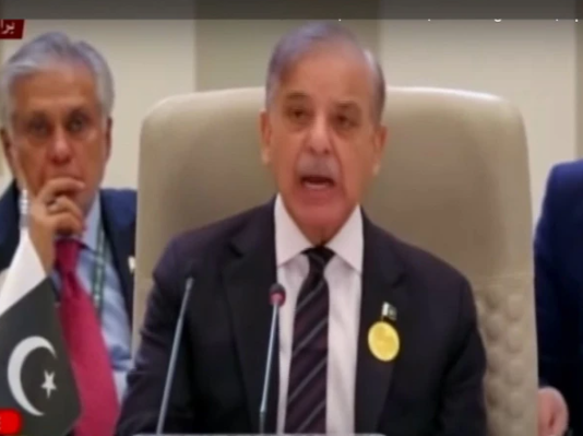 وزیراعظم شہباز شریف کا ڈیجیٹل فارن ڈائریکٹ انویسٹمنٹ انیشیٹو کا حصہ بننے کا خیر مقدم