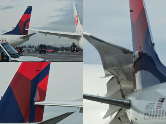 امریکا میں ایئرپورٹ پر دو طیارے ٹکرا گئے