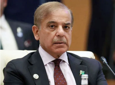 وزیراعظم شہباز شریف نے کہا ہےکہ موسمیاتی تبدیلی کے پاکستان پر اثرات کے لیے ترقی یافتہ ممالک وعدے پورے کریں