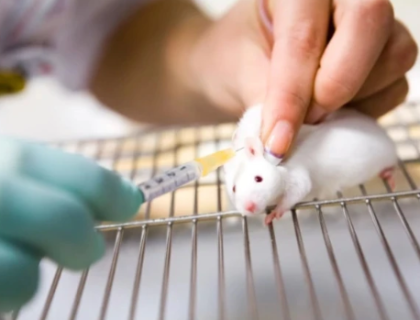 جانوروں میں عمر بڑھانے کا کامیاب تجربہ