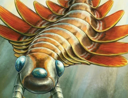 کینیڈا میں 50 کروڑ سال پہلے کا 3 آنکھوں والے جاندار کی باقیات دریافت