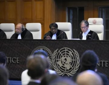 امیر ممالک ماحولیاتی تبدیلی کے خطرے کا تدارک کریں، عالمی عدالت انصاف