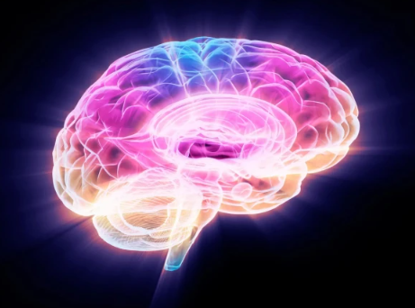 دماغ کی بڑھتی عمر کو روکنے والا پروٹین دریافت