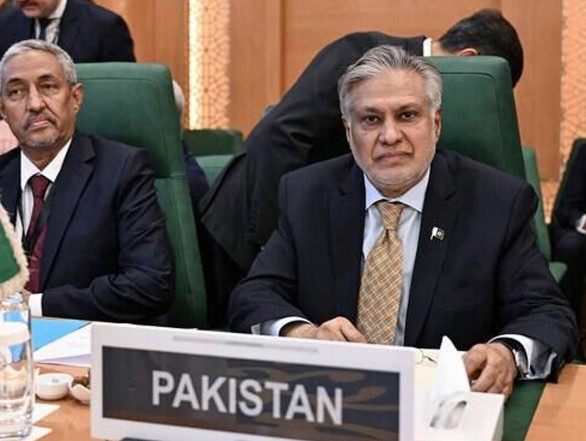 اسرائیل کے توسیع پسندانہ منصوبوں کو روکنے کیلئے عرب اسلامی ٹاسک فورس قائم کی جائے، اسحاق ڈار