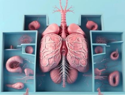 انسان کے اندرونی جسم کے وہ 10 اعضا جس کے بغیر بھی انسان زندہ رہ سکتا ہے