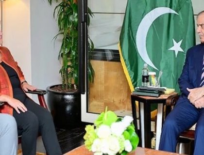 پاکستان کی معیشت پر سیلاب کے اثرات کو آئی ایم ایف جائزے میں شامل کیا جائے، وزیراعظم کا مطالبہ