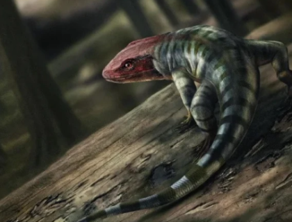 آدھا سانپ آدھا چھپکلی، اسکاٹ لینڈ میں عجیب و غریب جانور کی باقیات دریافت