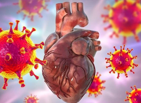 عمومی وائرل انفیکشن بھی ہارٹ اٹیک کا خطرہ بڑھا سکتے ہیں
