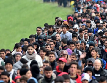 امریکا میں افغان تارکین وطن کے سنگین جرائم بے نقاب، متعدد گرفتار