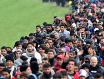 امریکا میں افغان تارکین وطن کے سنگین جرائم بے نقاب، متعدد گرفتار