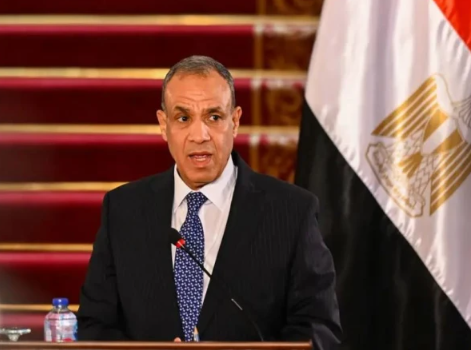 پاکستان غزہ کی تعمیرِ نو میں مرکزی کردار ادا کرے، مصری وزیرِ خارجہ