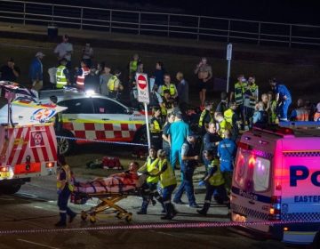 سڈنی بونڈی بیچ فائرنگ، پاکستان، عرب ممالک، ترکی، ایران اور افریقی یونین کی شدید مذمت