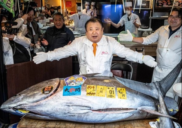 32 لاکھ ڈالر کی مہنگی ترین ٹونا مچھلی خرید کر جاپانی سوشی ریستوران نے ریکارڈ بنا لیا