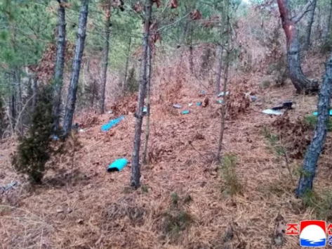 شمالی کوریا نے جنوبی کوریا پر جاسوس ڈرون بھیجنے کا الزام عائد کردیا