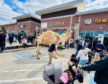 شوگرلینڈ کے معروف بزنس لوکیشن ویسٹ ائیرپورٹ بولیورڈاورFM1464کے سنگم پر اروا یمنی کافی شاپ کا ڈاکٹر سلمان للانی کا افتتاح کررہے ہیں اس موقع پر کمیونٹی رہنمائوں سمیت دیگر افراد نےبھرپور شرکت کی (تصویری جھلکیاں)