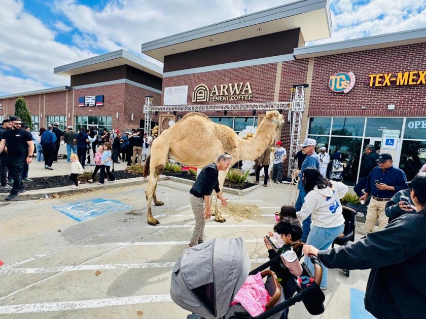 شوگرلینڈ کے معروف بزنس لوکیشن ویسٹ ائیرپورٹ بولیورڈاورFM1464کے سنگم پر اروا یمنی کافی شاپ کا ڈاکٹر سلمان للانی کا افتتاح کررہے ہیں اس موقع پر کمیونٹی رہنمائوں سمیت دیگر افراد نےبھرپور شرکت کی (تصویری جھلکیاں)