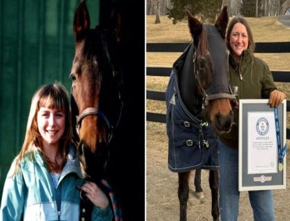 امریکا; دنیا کے معمر ترین گھوڑے نے گنیز ورلڈ ریکارد حاصل کرلیا