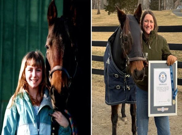 امریکا; دنیا کے معمر ترین گھوڑے نے گنیز ورلڈ ریکارد حاصل کرلیا