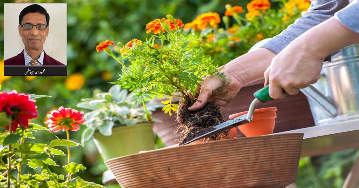 شہروں میں سبز ماحول، انسانی زندگی کا لازمی حصہ