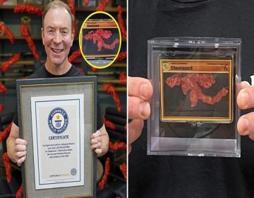 ’چیٹوزارڈ‘ ریکارڈ قیمت میں نیلام