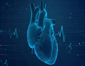 چینی سائنس دانوں نے پیس میکر کا متبادل تیار کرلیا