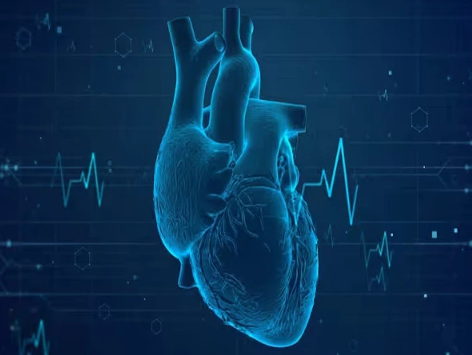 چینی سائنس دانوں نے پیس میکر کا متبادل تیار کرلیا