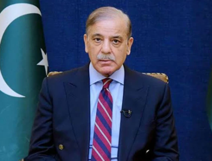 پاکستان میں دہشت گردی کے پیچھے بھارت کا کردار واضح ہے، وزیراعظم شہباز شریف